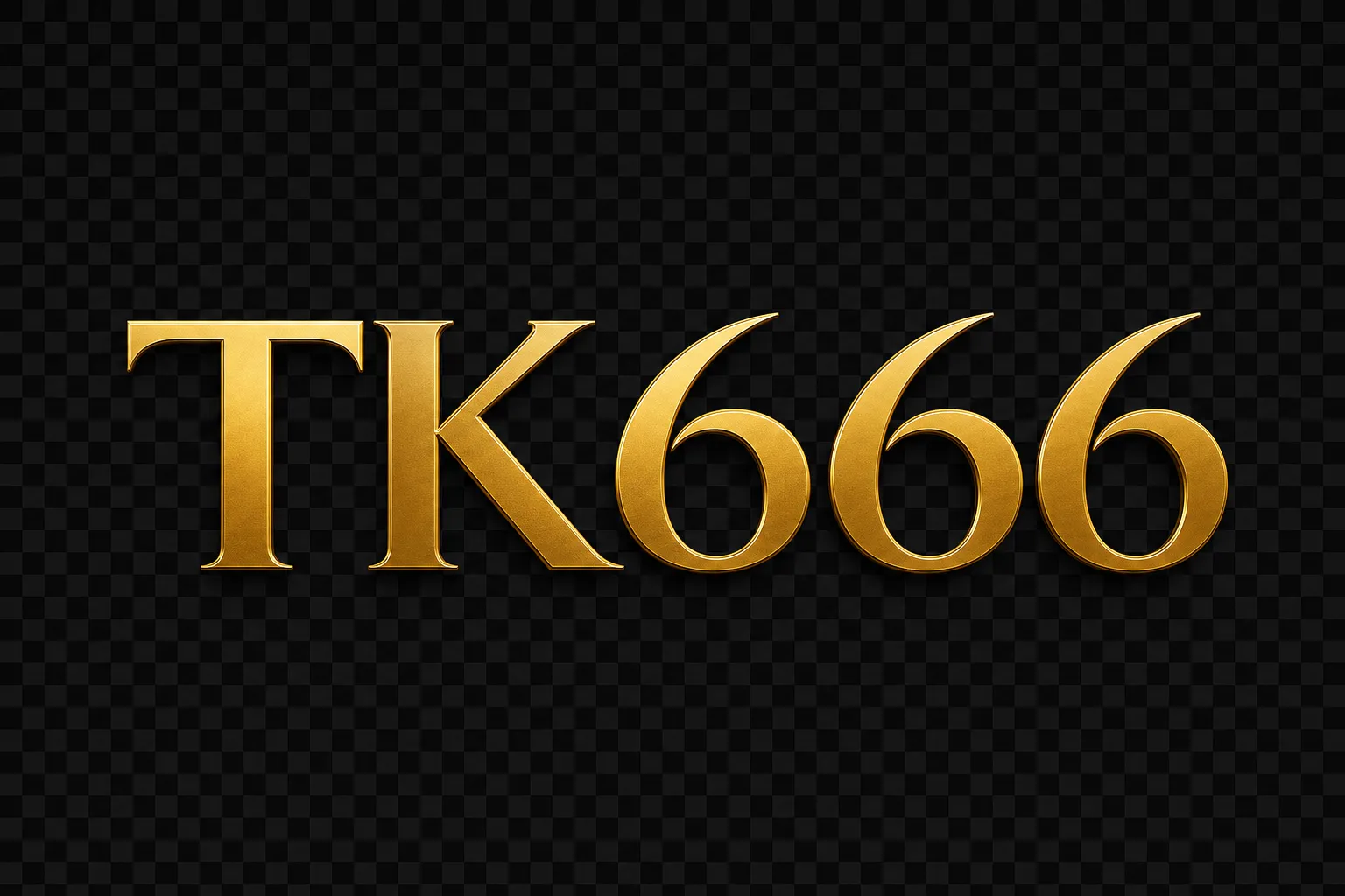 TK666 logo